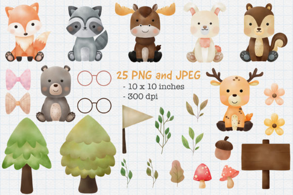 Animal Woodland Watercolor PNG and Illustrations