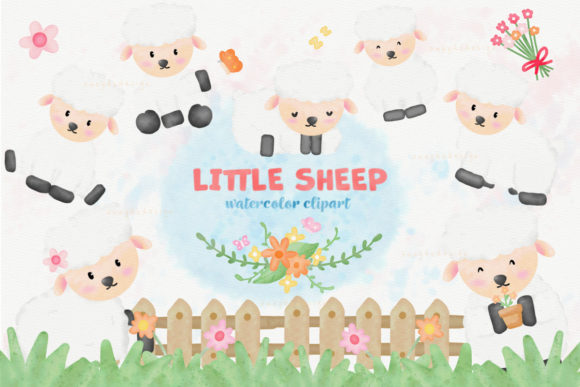 Little Sheep Watercolor Clipart for Illustrations