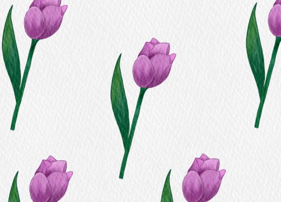 Purple Tulip Watercolor: Premium Illustrations for Branding