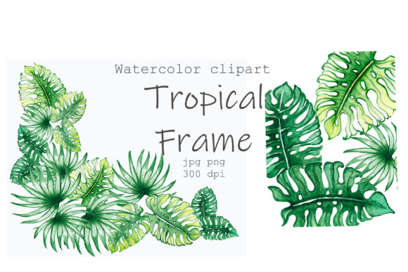 Tropical Leaves Watercolor Clipart PNG