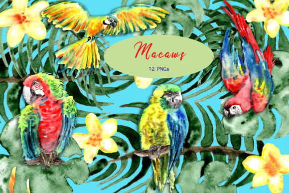 Watercolor Colorful Macaw Parrots Illustrations