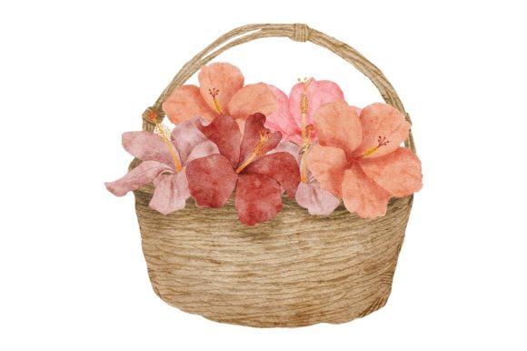 Watercolor Hibiscus Bouquet on Basket Illustrations