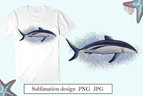 Watercolor Shark Sublimation Design Png: Reviewing Illustrations