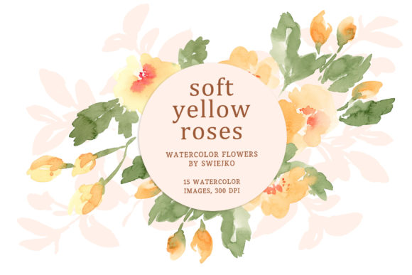 Watercolor Tea Roses: Soft Illustrations for Brands
