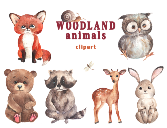 Watercolor Woodland Animals PNG Clipart and Illustrations